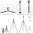 三脚架 TM2515 可反折 可拆独脚 球形云台 金色 塑料旋钮锁 镁铝合金