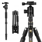 三脚架 TM2515 可反折 可拆独脚 球形云台 金色 塑料旋钮锁 镁铝合金