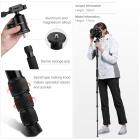 三脚架 TM2515 可反折 可拆独脚 球形云台 金色 塑料旋钮锁 镁铝合金