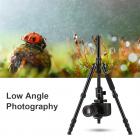 三脚架 TM2515 可反折 可拆独脚 球形云台 金色 塑料旋钮锁 镁铝合金