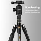 三脚架 TM2515 可反折 可拆独脚 球形云台 金色 塑料旋钮锁 镁铝合金