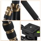 三脚架 TM2534 可反折 可拆独脚 球形云台 金色 金属旋钮锁 镁铝合金