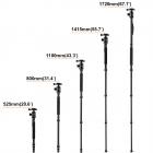 三脚架 TM2534 可反折 可拆独脚 球形云台 金色 金属旋钮锁 镁铝合金