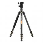 三脚架 TC2534 可反折 可拆独脚 球形云台 金色 金属旋钮锁 碳纤维