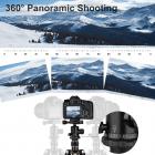 三脚架 TC2534 可反折 可拆独脚 球形云台 金色 金属旋钮锁 碳纤维