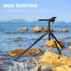 三脚架 TM2534T 中轴横置 可反折 可拆独脚架 球形云台 红色 铝合金