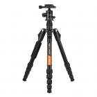 三脚架 TM2515B 可反折 可拆独脚 球形N-1云台 黑色 塑料旋钮锁 镁铝合金