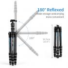 碳纤维三脚架   雷霆系列 TC2335  脚管烫印蓝色闪电 可反折 球形云台 黑色 碳纤维