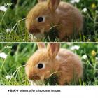 1042E，“H”型10*42望远镜  双筒