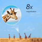 SHB7B，“H”型08*42望远镜  双筒 出瞳直径5.2 防水