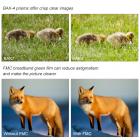 SHB7B，“H”型08*42望远镜  双筒 出瞳直径5.2 防水