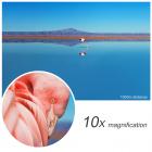 SHB7B1042-A，“H”型10*42望远镜  双筒 出瞳直径4.2 防水