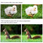 SHB7B1042-A，“H”型10*42望远镜  双筒 出瞳直径4.2 防水