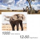 12*50 BKA4 高清单筒 防水 望远镜  军绿色+黑色（携带手机夹）印KF LOGO